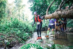 BIB: 
                            <button type="button" onclick="openModal(25459504)" class="btn btn-primary btn-sm float-right btn-popup" data-toggle="modal" data-target=".modal-high-quality">
                        <i class="fas fa-shopping-cart"></i> Add to Cart
                    </button>
                                            <button type="button" onclick="isThisMe(25459504, true)" class="btn btn-success btn-sm float-right btn-popup btn-isme hidden" data-toggle="tooltip" data-placement="bottom" title="นี่คือรูปของคุณใช่ไหม คลิกที่นี่เพื่อเอาเข้าอัลบั้ม">
                        <i class="fas fa-plus"></i> Add to album
                    </button>
                    <button type="button" onclick="isThisMe(25459504, false)" class="btn btn-warning btn-sm float-right btn-popup btn-isnotme hidden">
                        <i class="fas fa-ban"></i> Remove from album
                    </button>